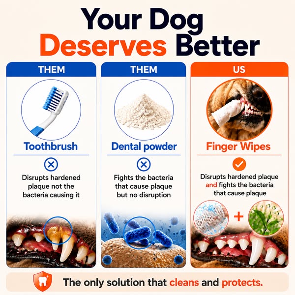 Clean your dog's teeth in 30 seconds without brushing
