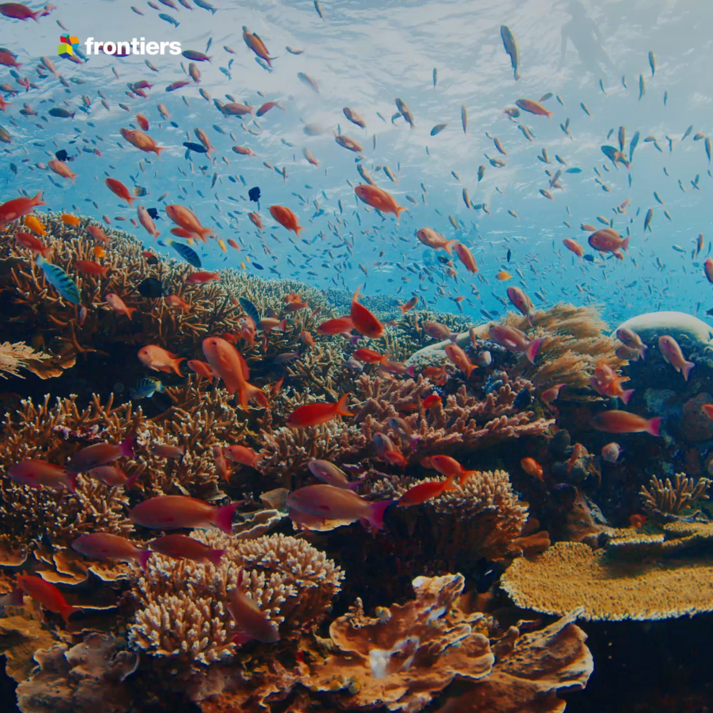 Open Research Topics advancing ocean innovation