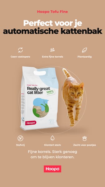 Bestel Tofu en geef je kat comfort