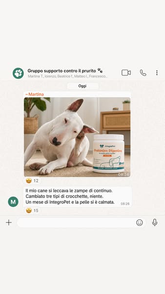 Aiuta il tuo cane oggi