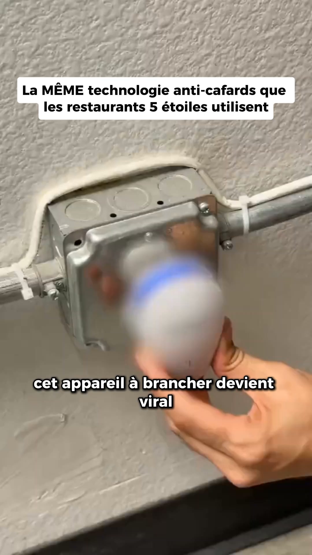 Dites adieu aux punaises définitivement