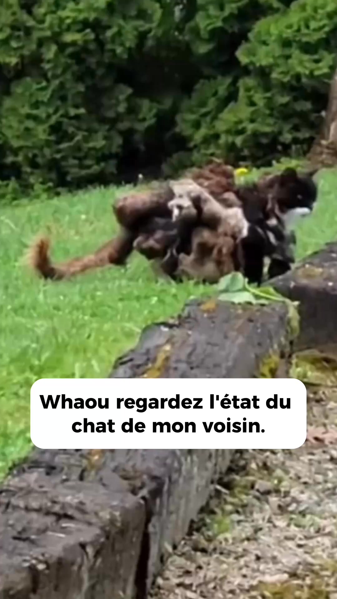 Dites adieu aux nœuds et irritations