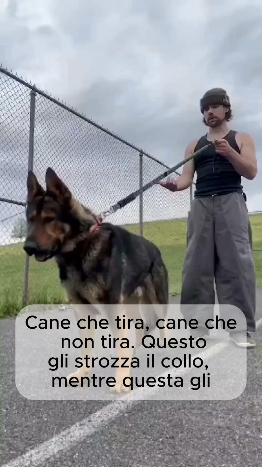 Passeggiate senza strattoni dal primo giorno