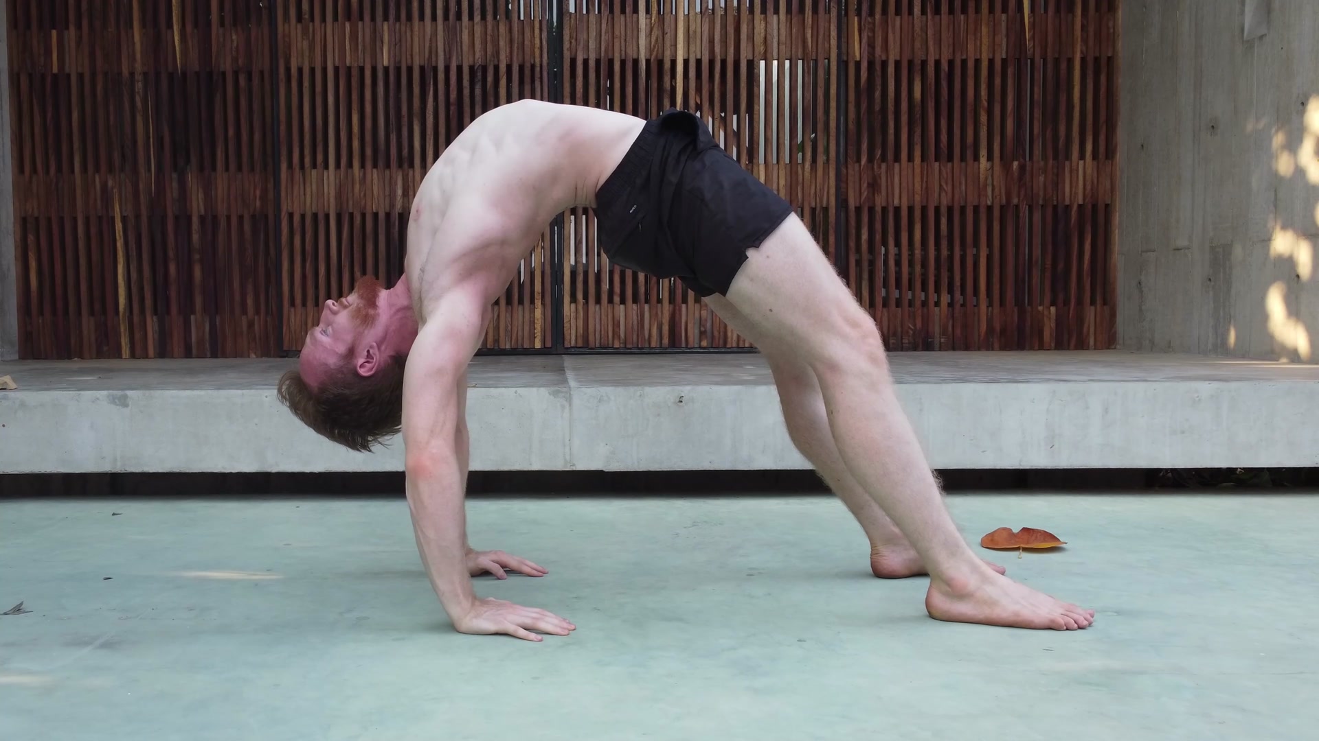 Free 1 Hour Mobility & Flexibility Masterclass