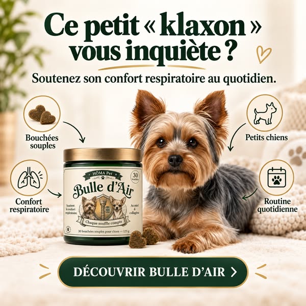 Ce petit « klaxon » vous inquiète ?