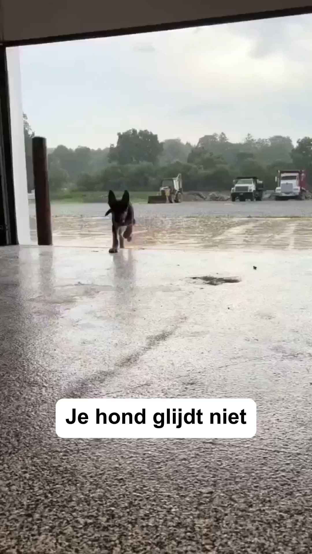 Speciaal voor tussen de pootjes