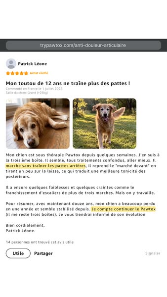 Voici ce que disent les propriétaires dont le chien souffrait des pattes arrière.