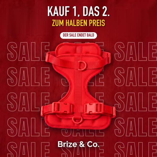 Das 2. Geschirr zum halben Preis
