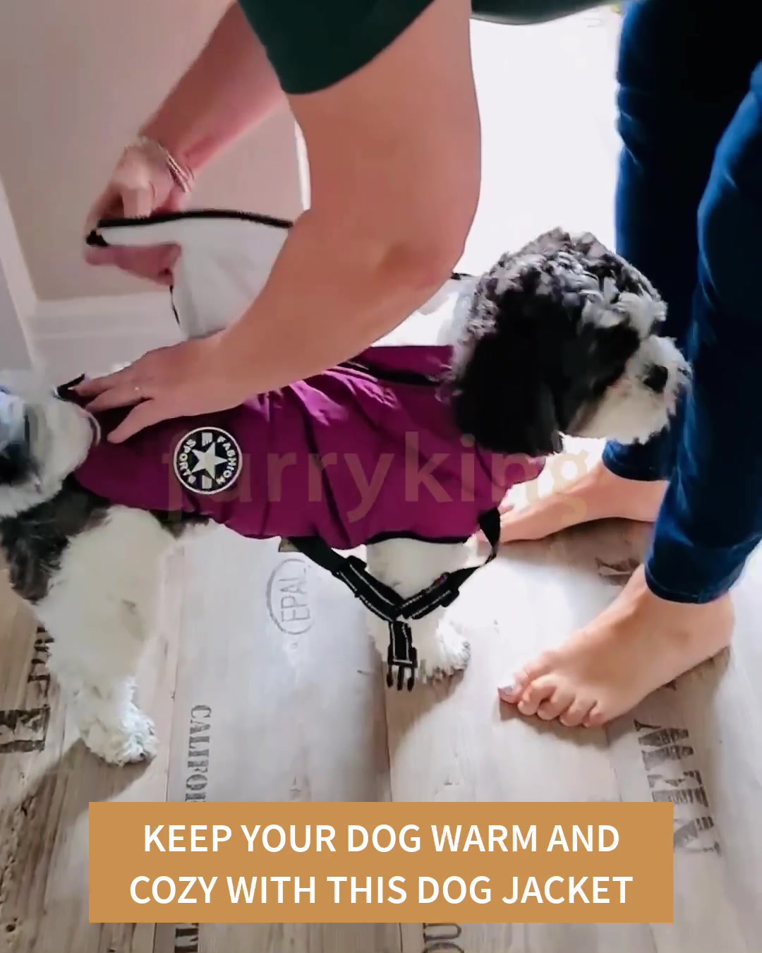 50%OFF Dog coats
