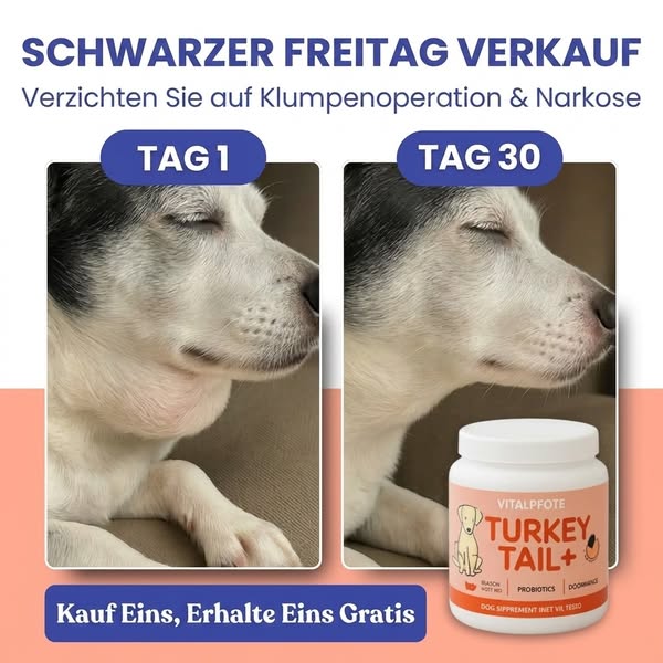 3 KAUFEN, 3 GRATIS + KOSTENLOSER VERSAND