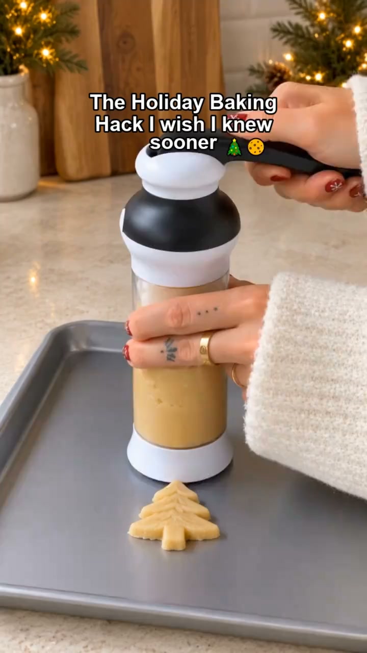 DIY Cookie Press Kit with 20 Discs for Baking