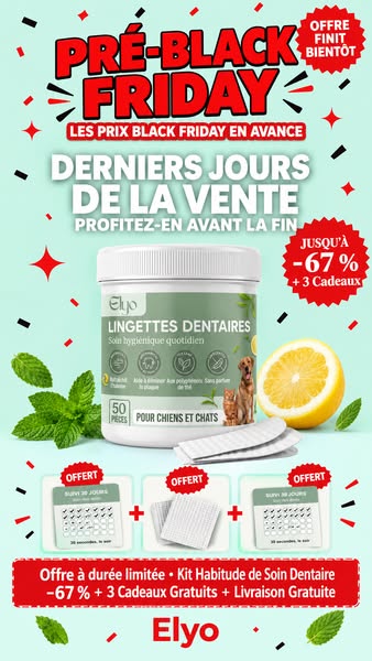PRÉ-BLACK FRIDAY : 3 achetés + 3 OFFERTS