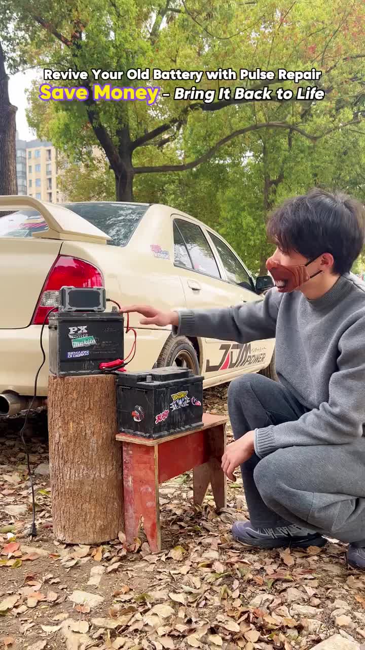 12V Smart Battery Charger Maintainer