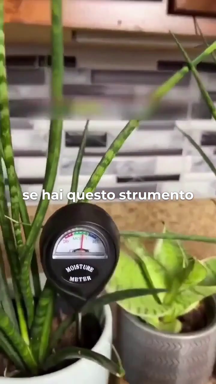 Basta indovinare cosa vuole la pianta