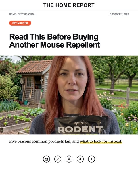 Read This Before Buying Another Mouse Repellent