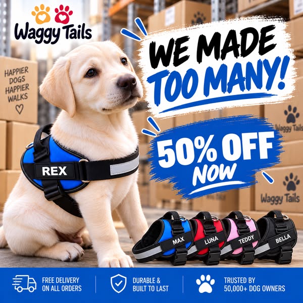 50% Off Dog Harnesses