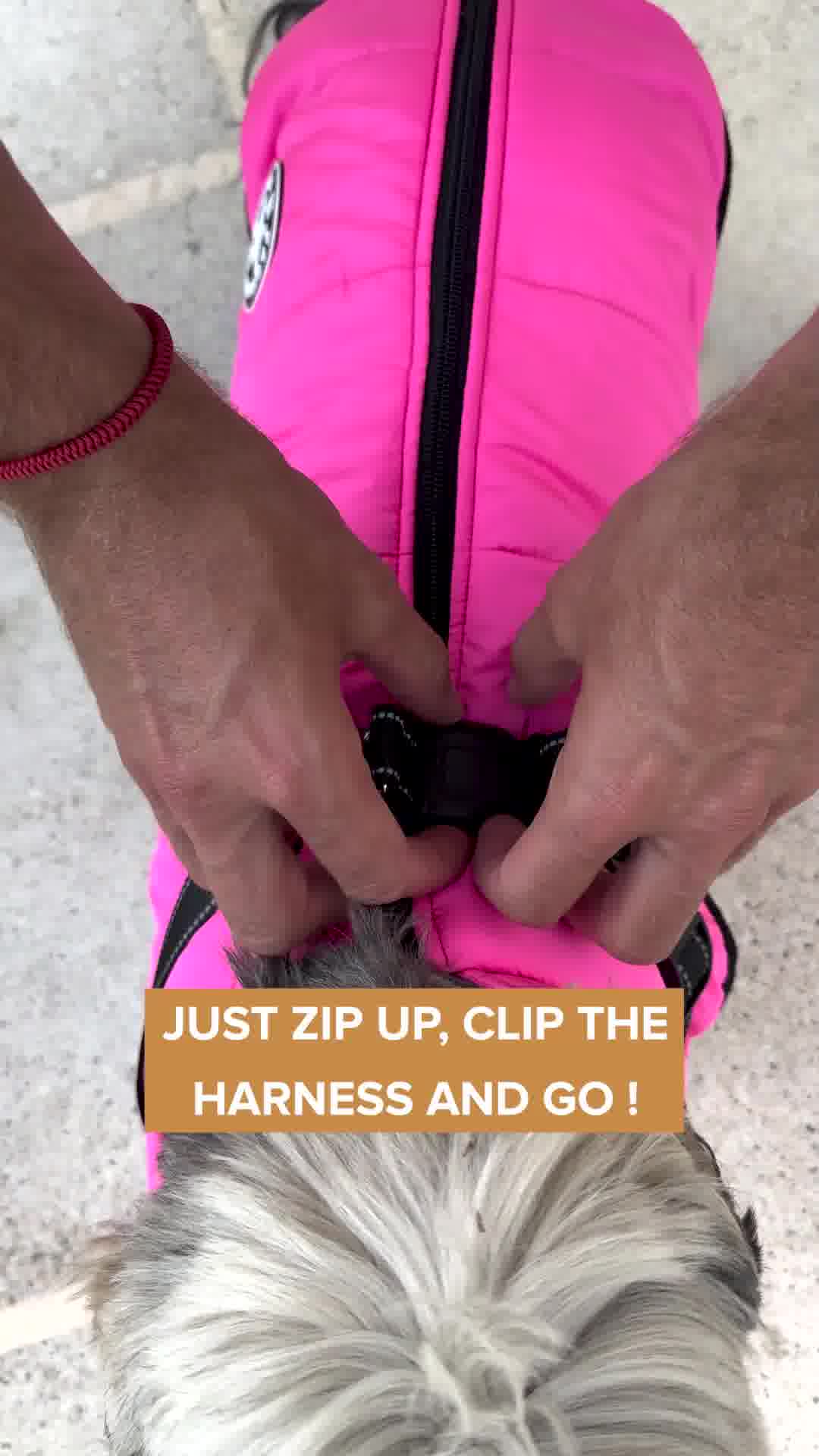 50%OFF Today