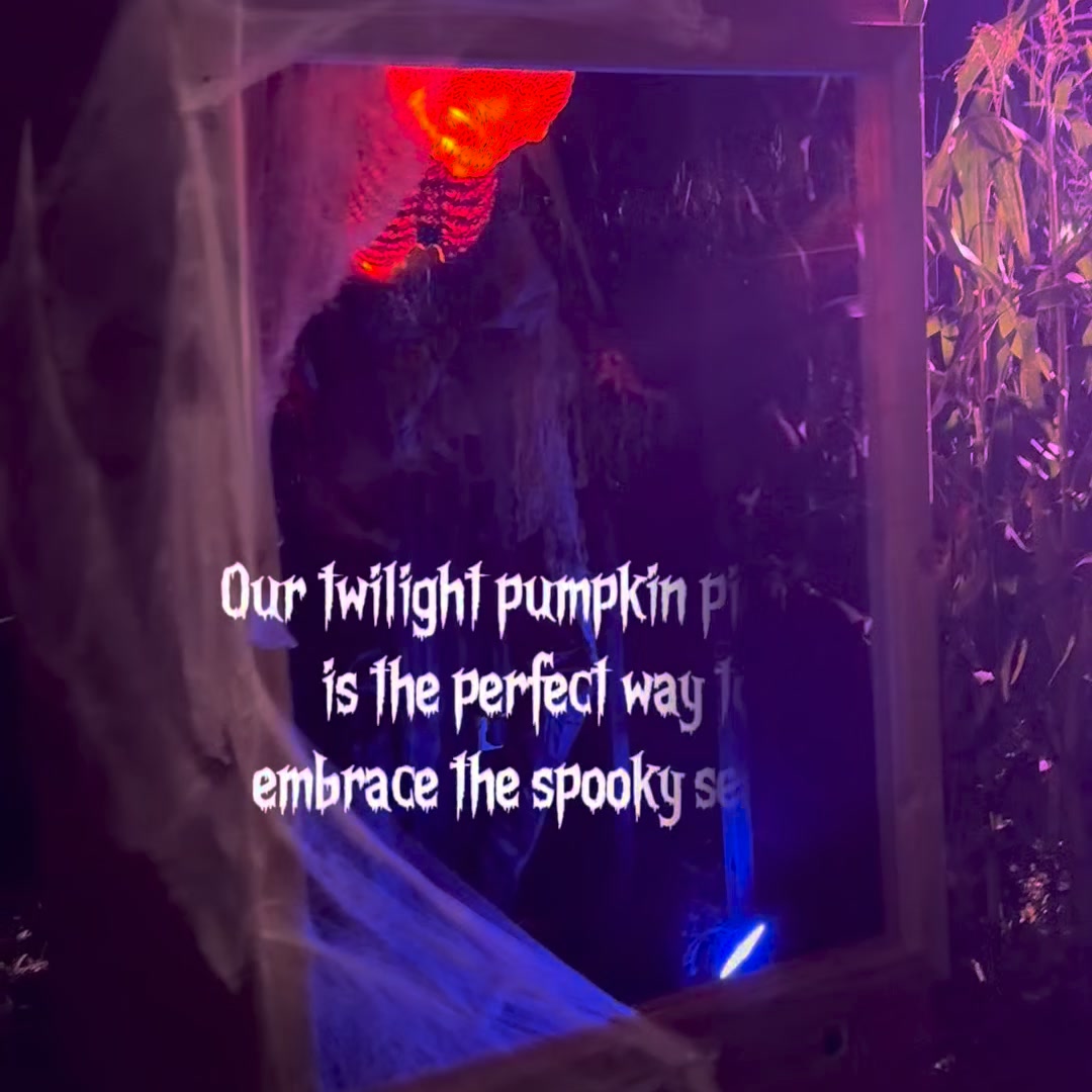 Twilight Pumpkin Picking