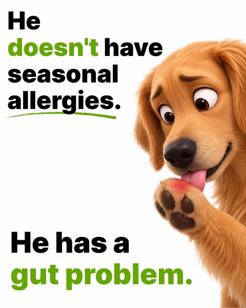 Give Him Real Relief, Finally
