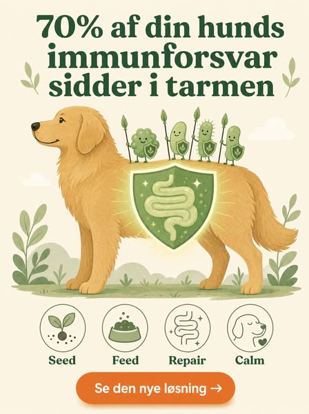 Tarm i balance - indefra