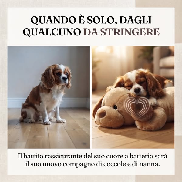 Spedizione Gratuita
