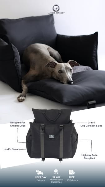 £10 Off The Dog Pod 2.0