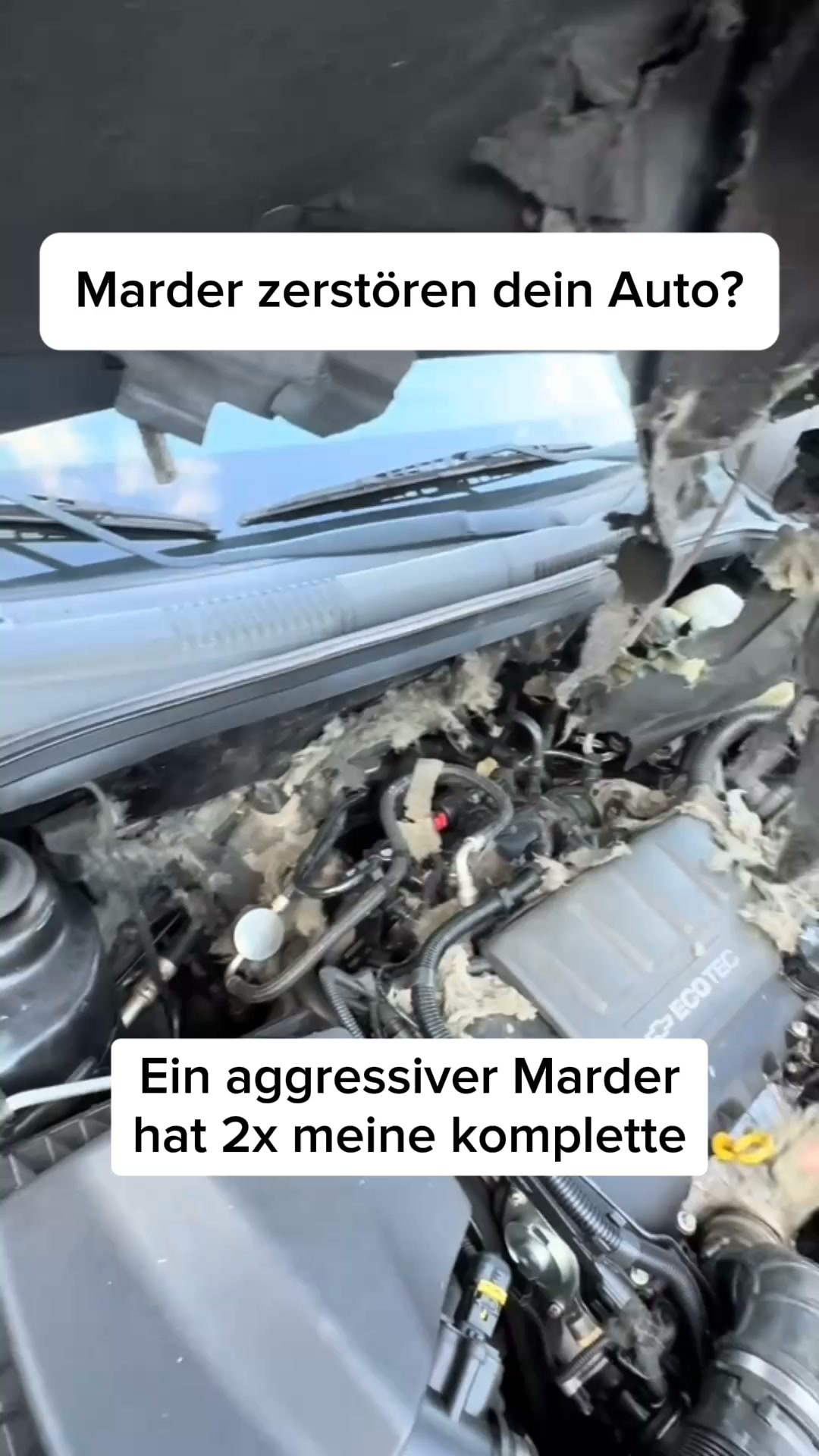 Über 16.000 glückliche Kunden