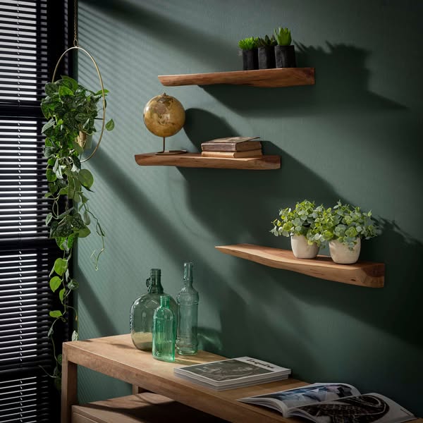 Estante de pared Slate de 60cm, set de 3 / Acacia maciza