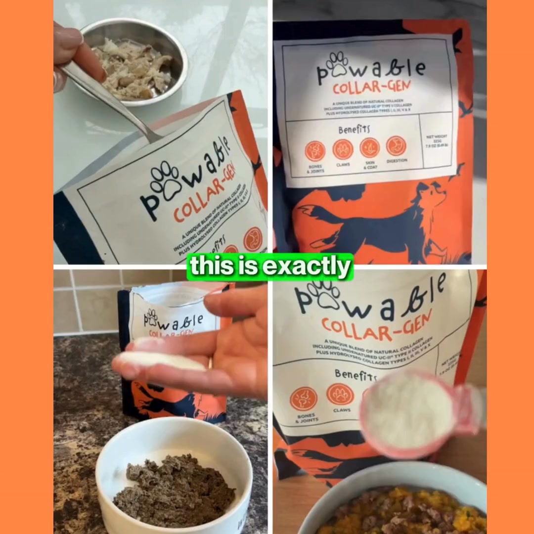 Hundreds of UK Pet Parents Swear By This Daily Joint Support