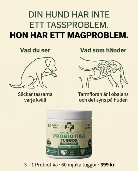 Det är inte hunger. Det är magen som ber om hjälp.