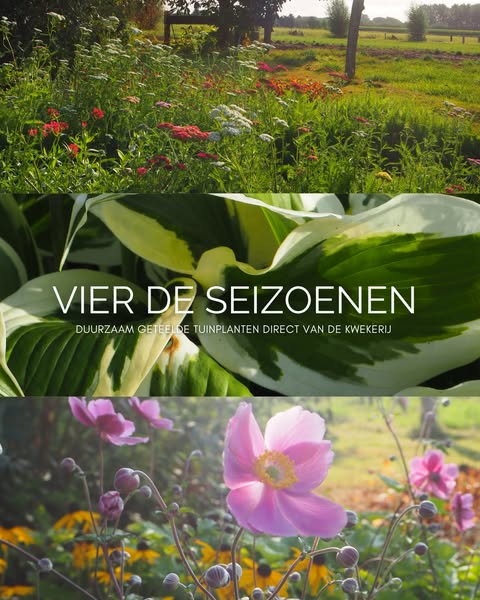 Plant nu, profiteer straks