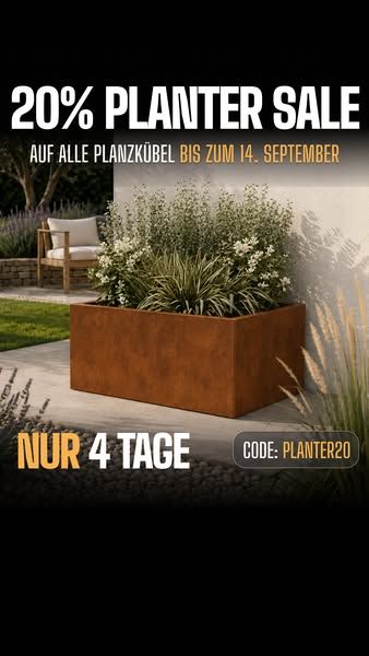 20% Rabatt sichern