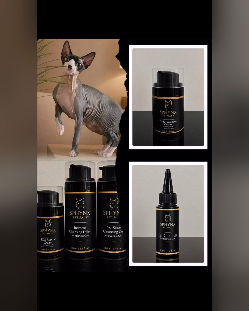 Skincare created specifically for Sphynx cats
