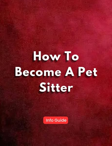 Steps to Start Working as a Pet Sitter