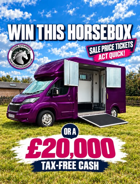 WIN A HORSEBOX NOW!