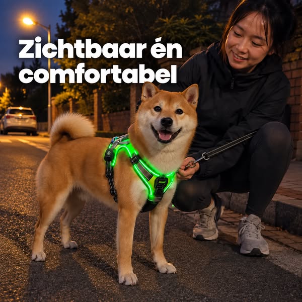 LED-harnas: zichtbaar én comfortabel