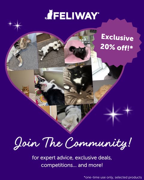 20% Off Your First Order