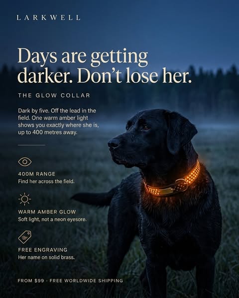 Don’t lose her to the dark!