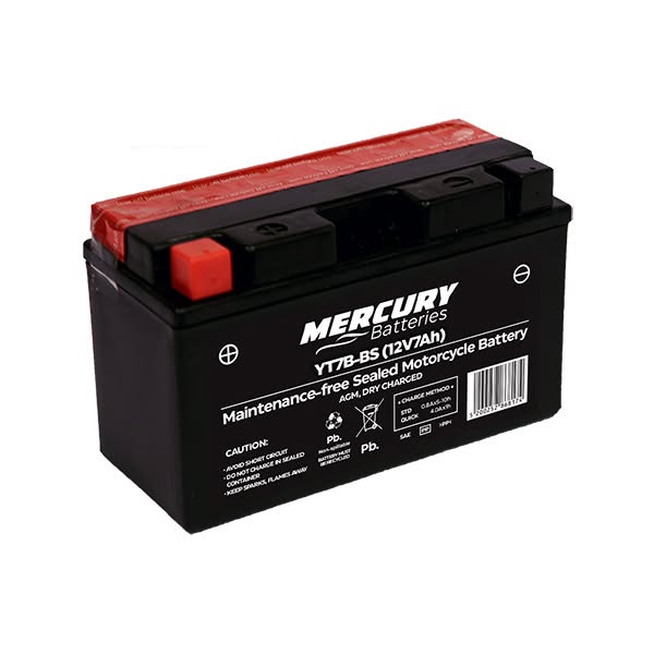 ZAPS batteries