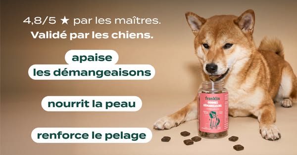 Une recette gourmande