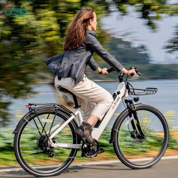 Fiido C11 Elektrofahrrad