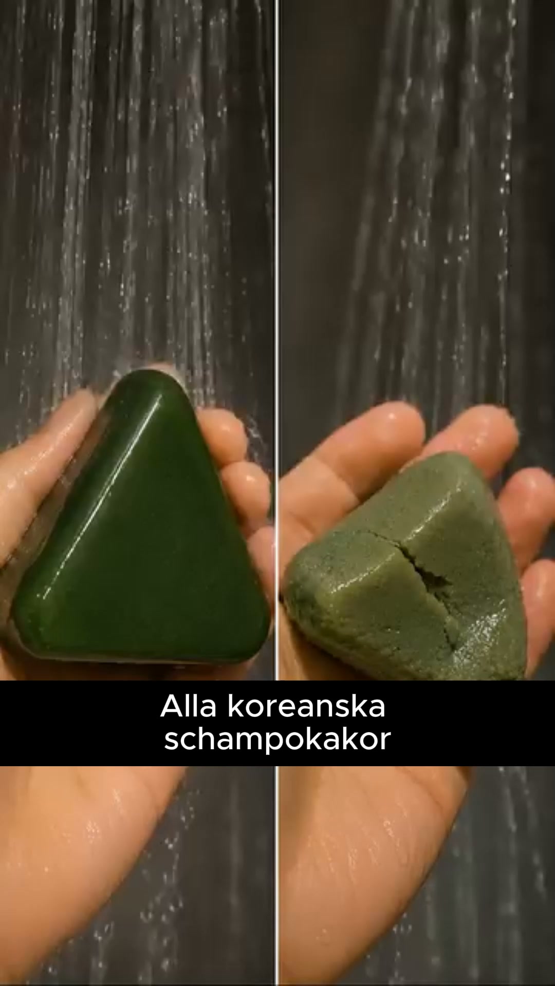 12 fermenterade örter. En bar. Din nya ritual.