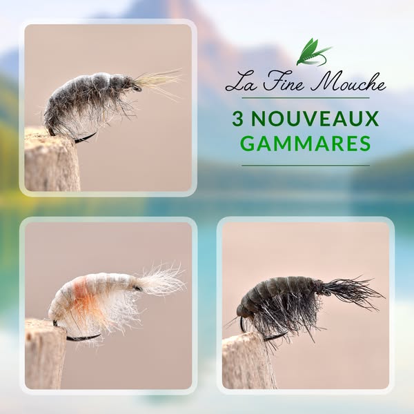 Gammares - Mouches pour la Pêche à la Mouche