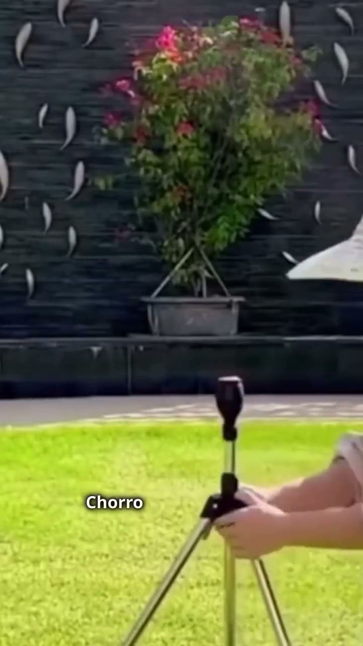 Antes: manchas secas. Después: ¡verde perfecto!