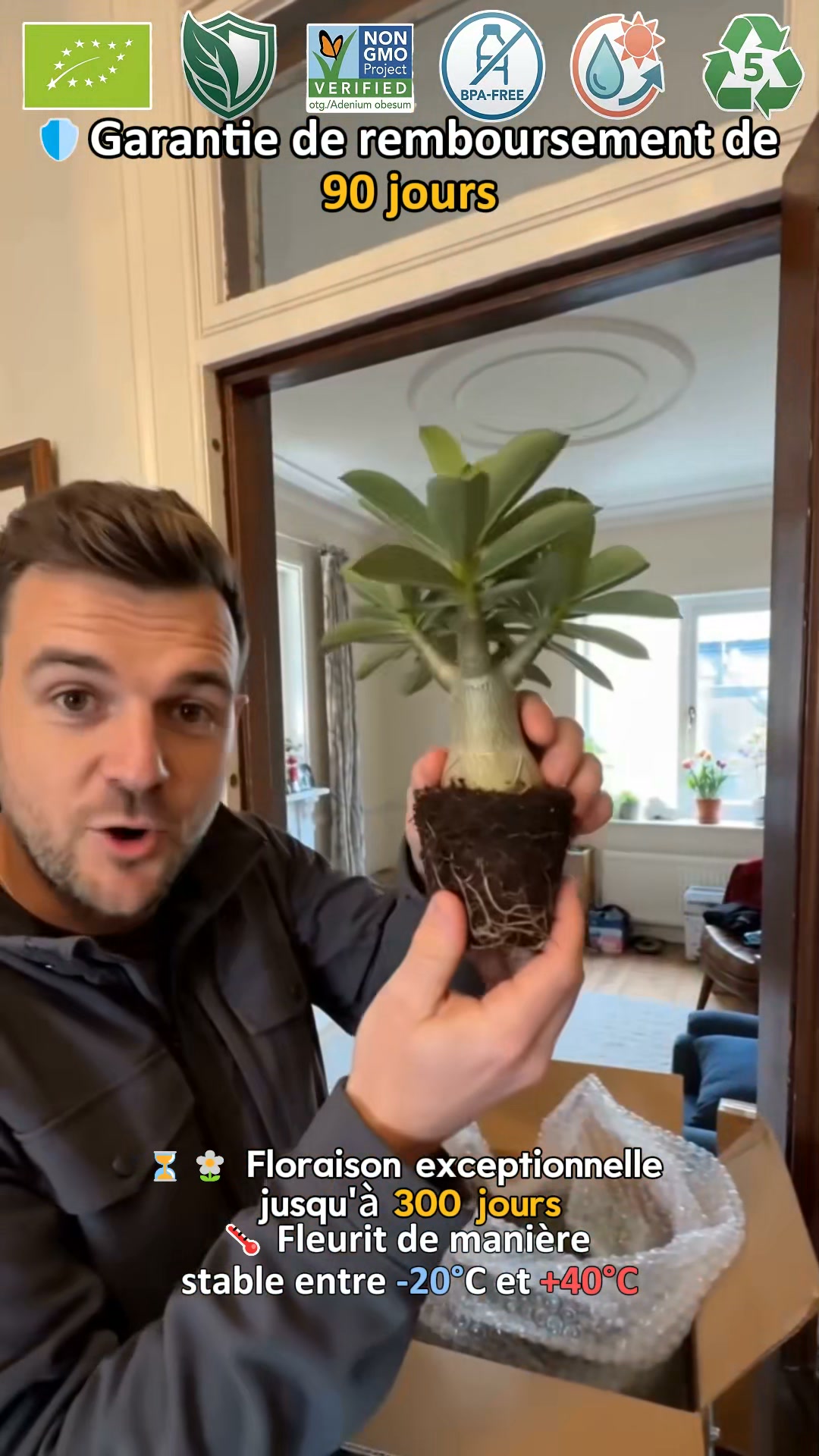 La plante qui ne meurt jamais – arrosez‑la et elle vit 100 ans !
