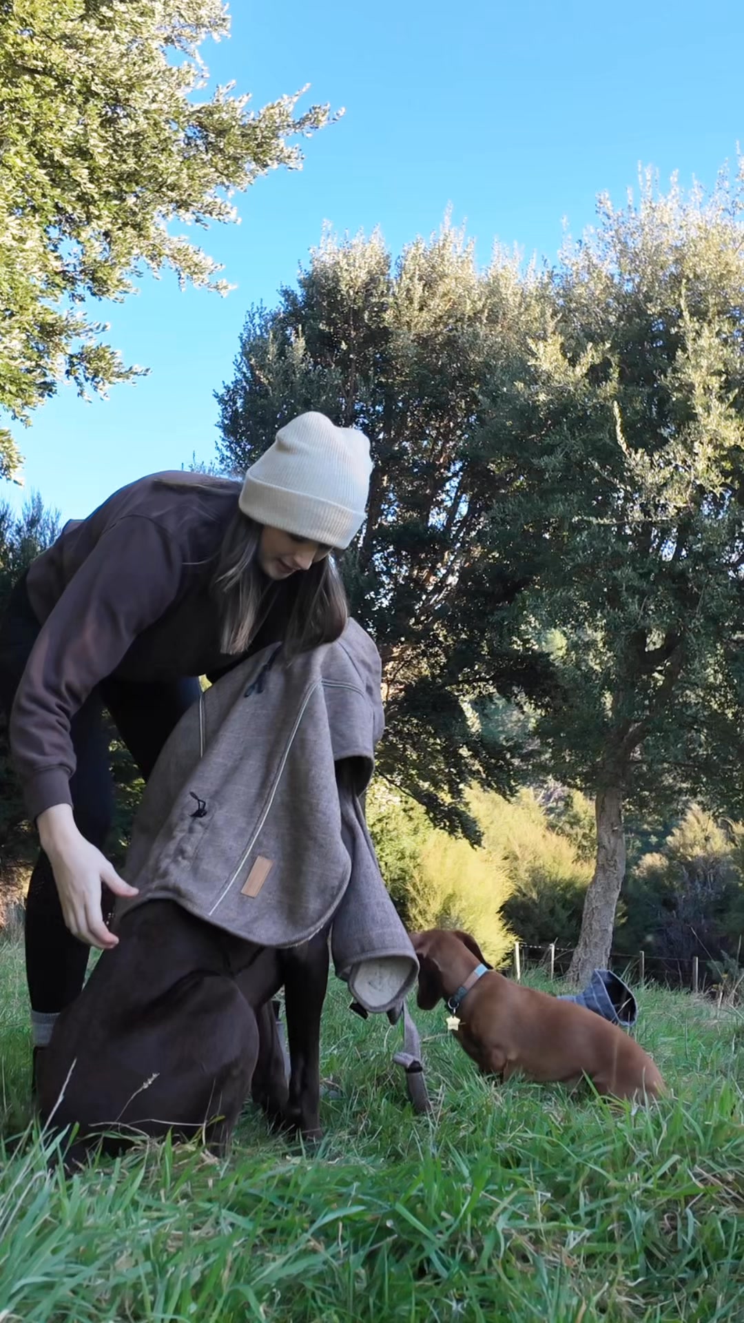 Highland Dog Coat
