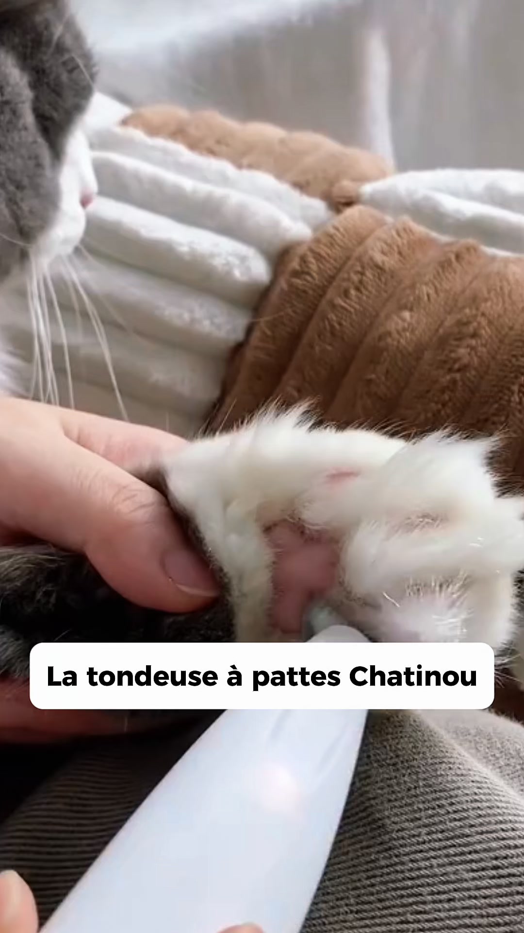 Je prends soin de mon minou