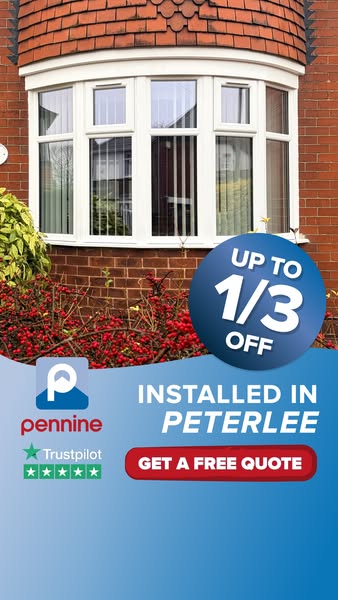 Trusted Window Experts