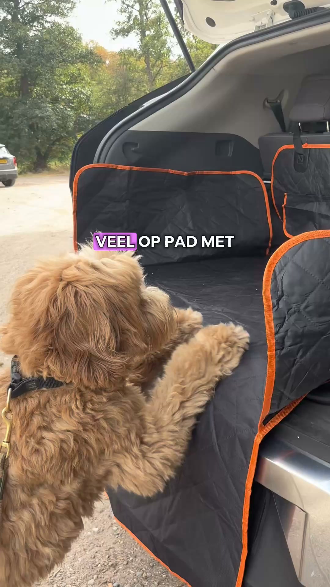 Haren en modder in je auto? Niet meer.