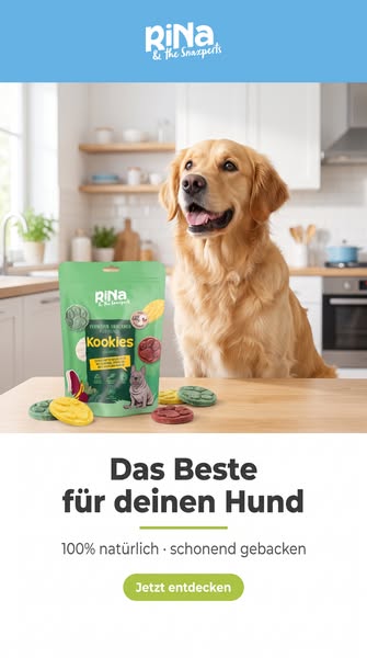 Das Beste für deinen Hund entdecken!
